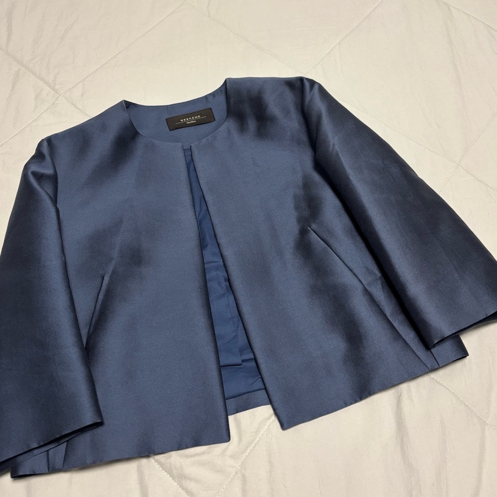 MaxMara Blue Bell Sleeve Dress